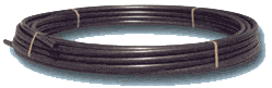 buhta